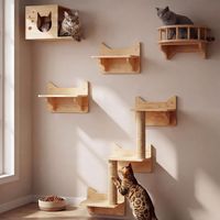 Étagères murales pour Chats, Ensemble de Meubles muraux, perchoirs et étagères d’Escalade pour Maison intérieure à Fixation Murale