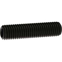 Reidl ISO 4026 Gewindestifte M10x100, mit Innensechskant/Kegelkuppe, 45 H blank
