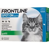 FRONTLINE SPOT-ON GATTI 3 PIPETTE- FRONTLINE- 1,0 pz