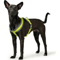 Arnés para Perro Hunter London Comfort XS-S 39-47 cm Lima 4016739680594 S6102560 Hunter