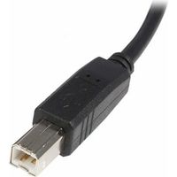 Cable USB A a USB B Startech USB2HAB3M Negro