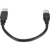Câble adaptateur Firewire 1394 6 broches femelle vers USB 2.0 AM, cordon Flexible Plug and Play pour appareil photo numérique