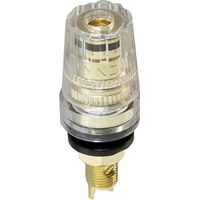 LYNDAHL TERMINAL HAUT-PARLEUR LKPA070SW 1 PC(S)