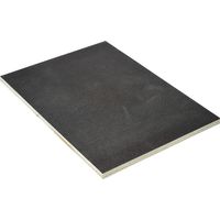 Siebdruck-/Film-Platte 120 x 60 cm, 9 mm Bastelplatten