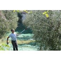 Teleskopstange für Olivenreifen