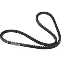 Correa LANDINI 3648900M1