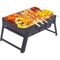 Barbecue Portable - BARBECUE - Piq3605 - Charbon - Acier Inoxydable - Pliable