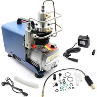 Pompe à compresseur électrique du système PCP de la pompe à compresseur électrique 30MPa 220V