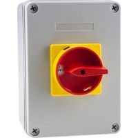 Coupe-circuit, 3P, 40 A, 18,5 kW ( Prix pour 1 )