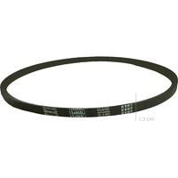 Courroie pour Biotriturateur BS7001