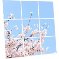 Pack de 9 Dalles LED Imprimées 60x60 cm - Motif Fleurs de Ciel - Lumière Blanc Neutre 4000K - Panneaux Lumineux Plafond Bureau Salon Cuisine - Faciles à Installer