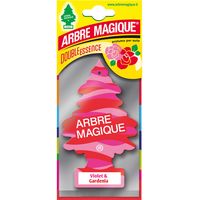 ARBRE MAGIQUE DOUBLE VIOLET Q.TA 24