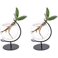 Clusia en Verre Décoratif, Lot de 2 Plantes d’Intérieur, 5 cm x 10 cm - PANGIVO