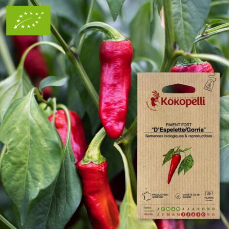 Piment Fort D'Espelette Gorria