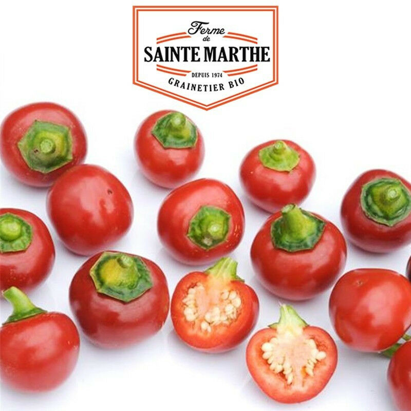 La Ferme Sainte Marthe - Piment Red Cherry Small - 30 graines
