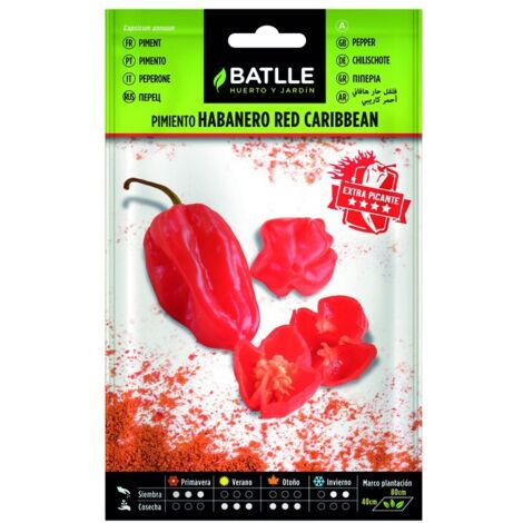 Pimiento Habanero Red Caribean