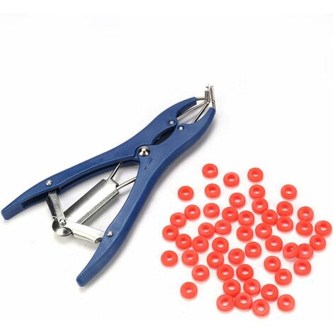 Pince À Castration De Mouton Outils Chirurgicaux Vétérinaires Pince À Castration De Porc Pince À Castration Sans Sang Avec 100 Anneaux Pour Kit De Bout À Bout De Queue De Chèvre