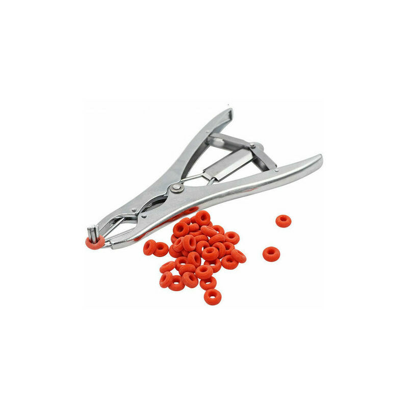 Pince à castration élastique en acier inoxydable pour bétail, porc, mouton, ceinture 100 anneaux en caoutchouc 21,5 cm Argent