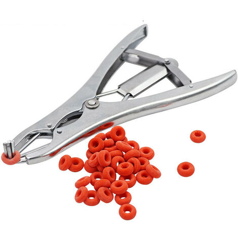 Pince à castration élastique en acier inoxydable pour bétail, porc, mouton, ceinture 100 anneaux en caoutchouc 21,5 cm Argent