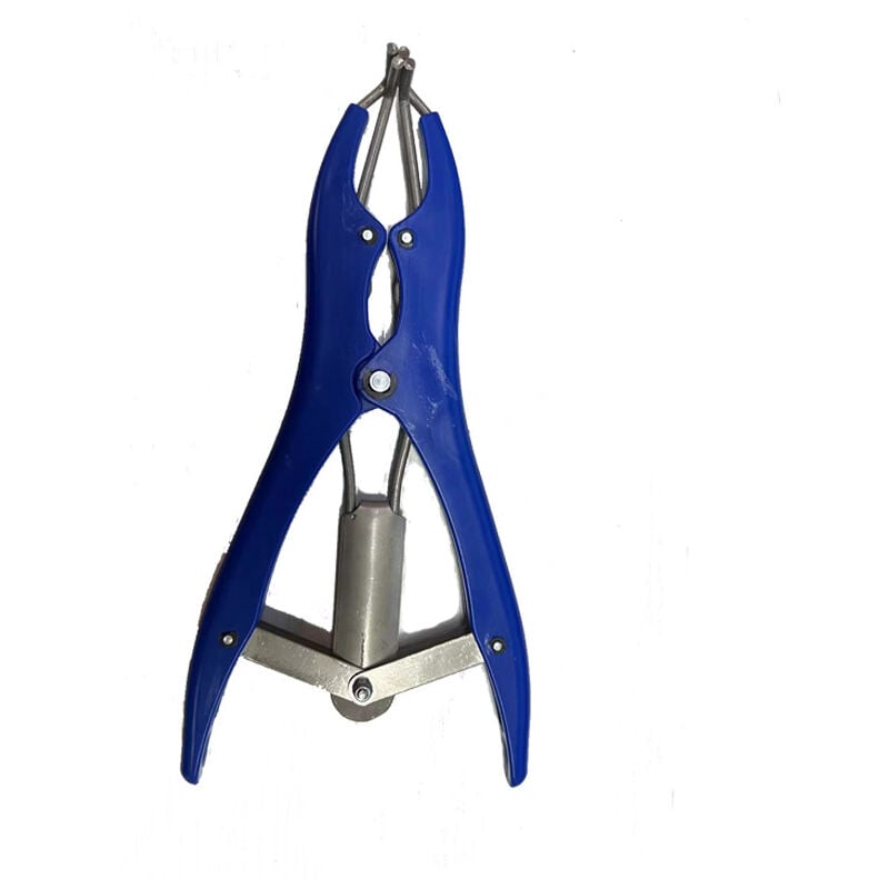 Pince à castration élastique en acier inoxydable pour bétail, porc, mouton, ceinture 100 anneaux en caoutchouc 21,5 cm bleu