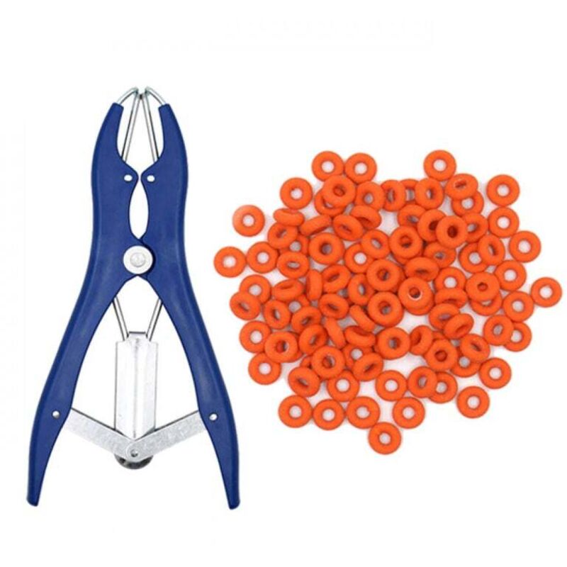 Pince à castration élastique en acier inoxydable pour bétail, porc, mouton, ceinture 100 anneaux en caoutchouc 21,5 cm bleu