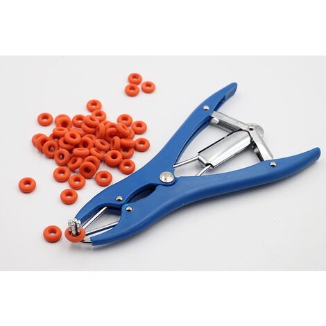 Pince à castration élastique en acier inoxydable pour bétail, porc, mouton, ceinture 100 anneaux en caoutchouc 21,5 cm bleu
