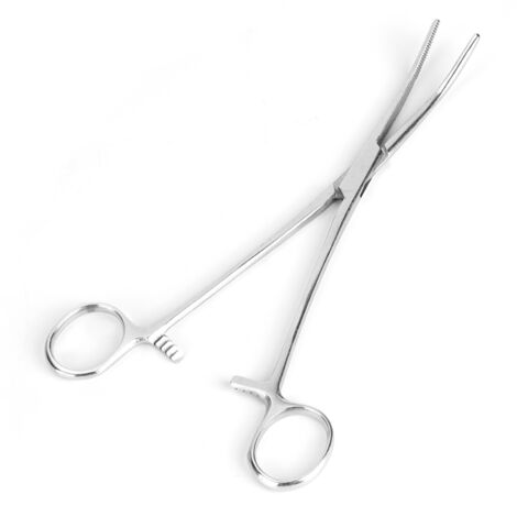 Pince à épiler courbée en acier inoxydable pour poils d'animaux, chien et chat, 20 cm