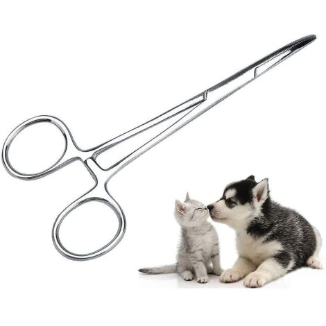 Pince à épiler les oreilles pour le toilettage des chiens