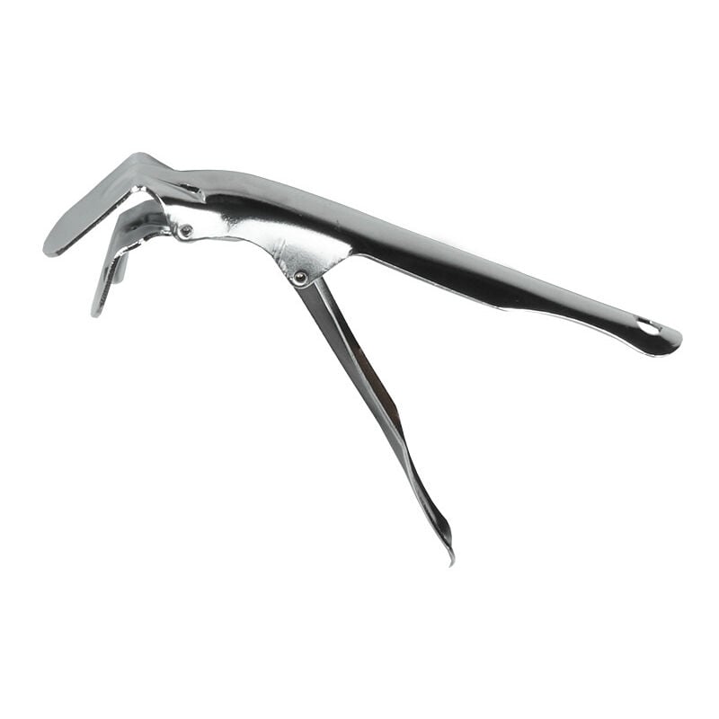 Pince à grille en acier inox pour Kamado