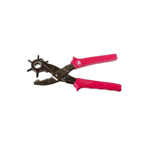 Pince à poinçonner de type supplémentaire
