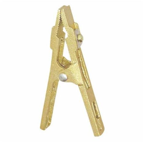 Pince de masse CROCO B250.25 – Capacité 250A, Haute Performance, Idéale pour Applications Électriques et de Soudure