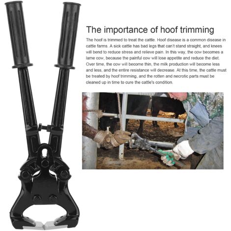Pince de Sabot, Pinces de Sabot de Vache en Acier Inoxydable, Vaches Laitières pour à la Maison