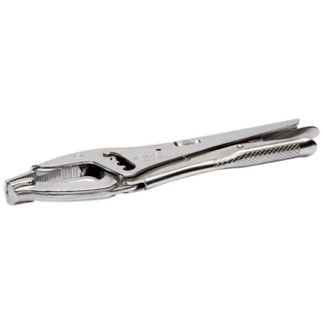 Pince Etau 4 Positions 250Mm Irimo