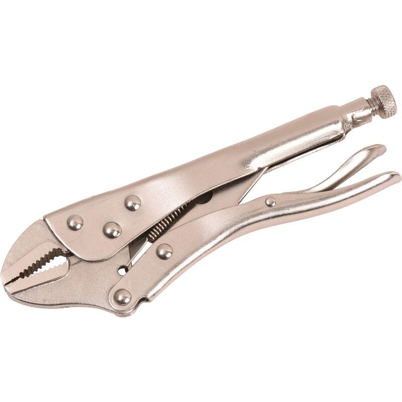 Silverline - pince étau droit - 200MM PL101