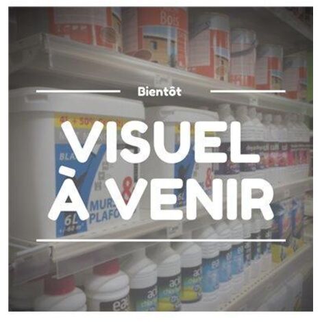 Pincel pulgar para repintar de doble material para todas las pinturas N°4 - Savy