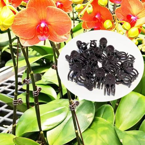 Pinces de guidage végétal réutilisables, 100 pièces, accessoire de façonnage pour fleurs, orchidées et plantes à grimper