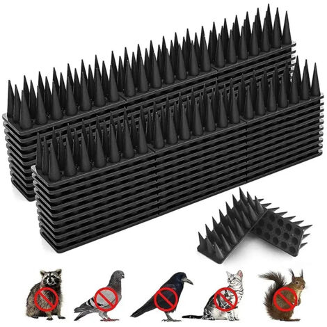 Pinces de haute qualit pour oiseaux et pigeons 12 pointes pour