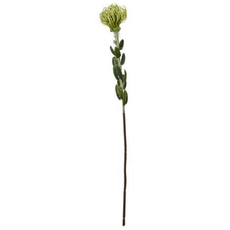 Pincushion Protea Spray (Single Stem Flower) - Plastic - Height 61 cm - Green