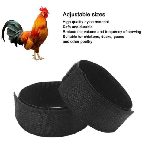 Pinellia- tour de cou de poulet Paquet de 2 colliers de poulet anti-crochets en nylon sans bruit ceinture de cou de poulet pour coqs