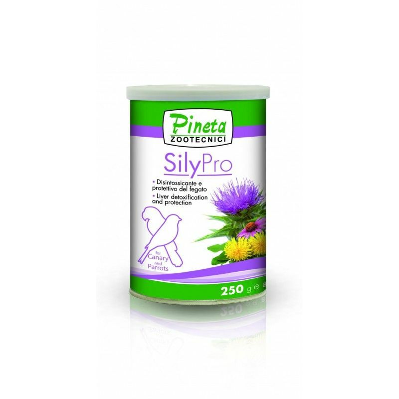 

SilyPro 250 gr. - Pineta