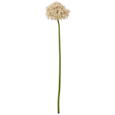 Pink Giant Allium (Single Stem Flower) - Plastic - L21 x W21 x H90 cm - Pink