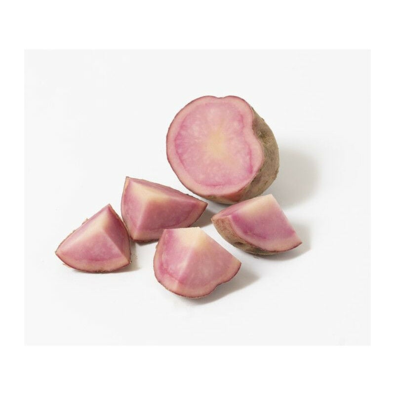 Debaere - Pink Love 25 Plants de pomme de terre