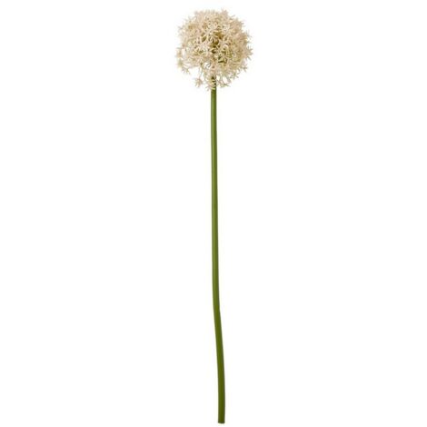 Pink Medium Allium (Single Stem Flower) - Plastic - L16 x W16 x H80 cm - Pink