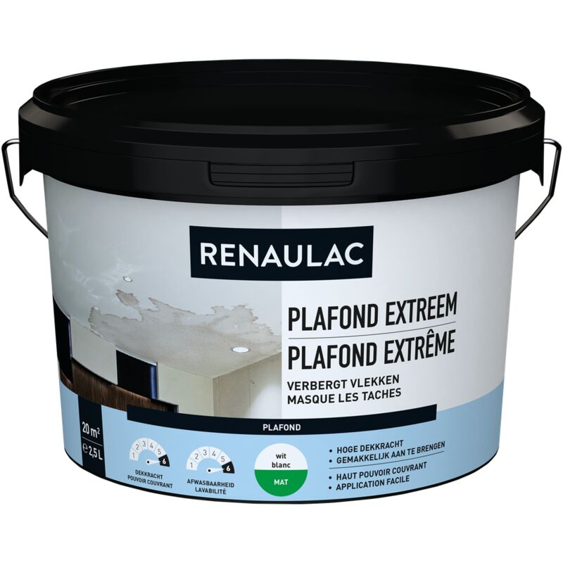 

techo RENAULAC pintura Lejos Blanco - 2.5L - Blanc