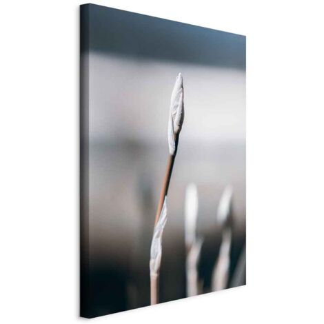 Pintura - Minimalismo botánico (1 parte) vertical