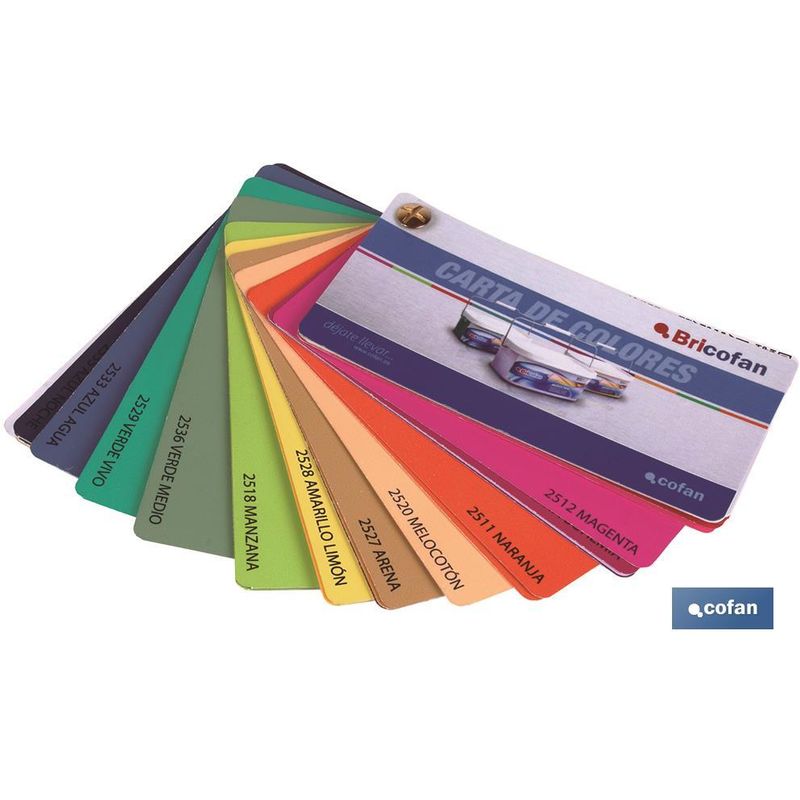 CARTA COLORES ABANICO PINTURAS MONOCAPA - 15009998