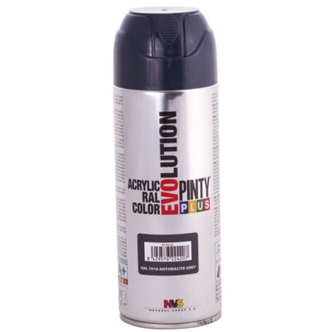 Pinty plus évolution bbe 400ml gris anthracite mat ral 7016 - NOVASOL