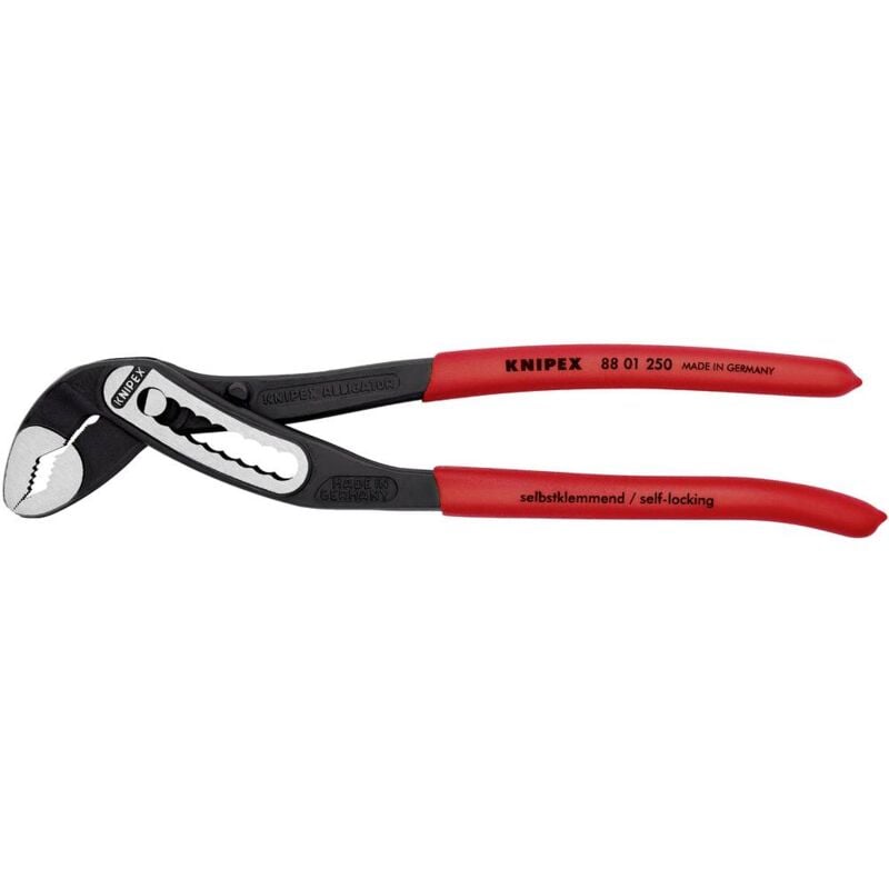 Image of Pinza Poligrip Knipex Alligator 8801 25