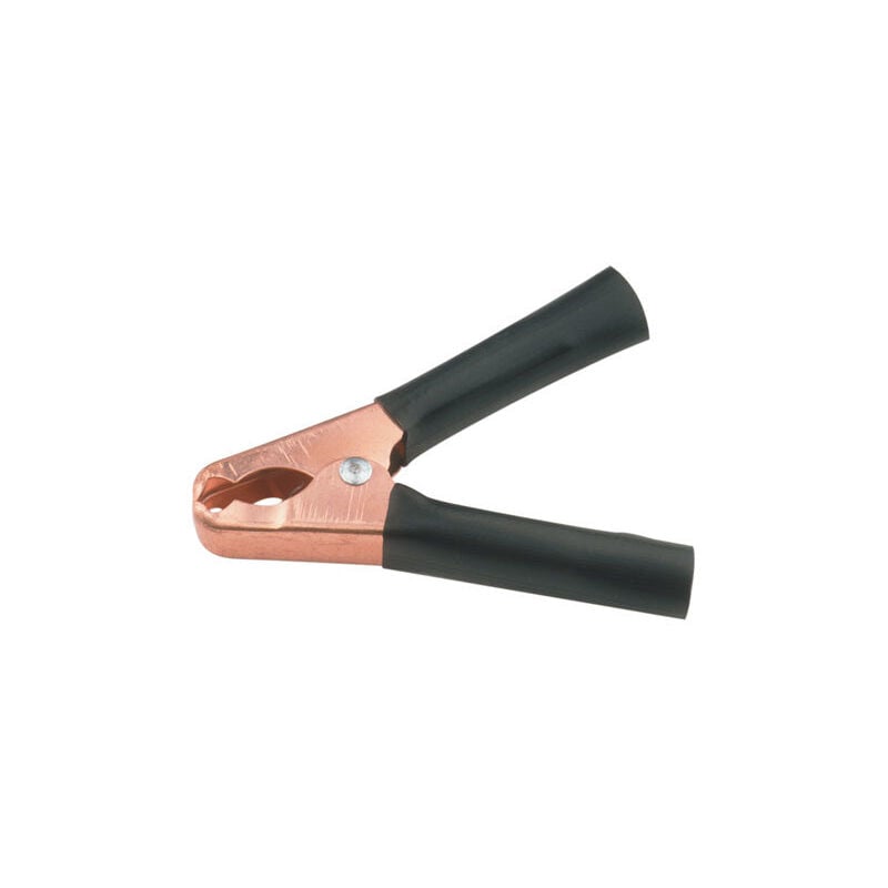 

Pinza batería 100 A de color rojo 38.072/R 8430552096183 - Electro Dh