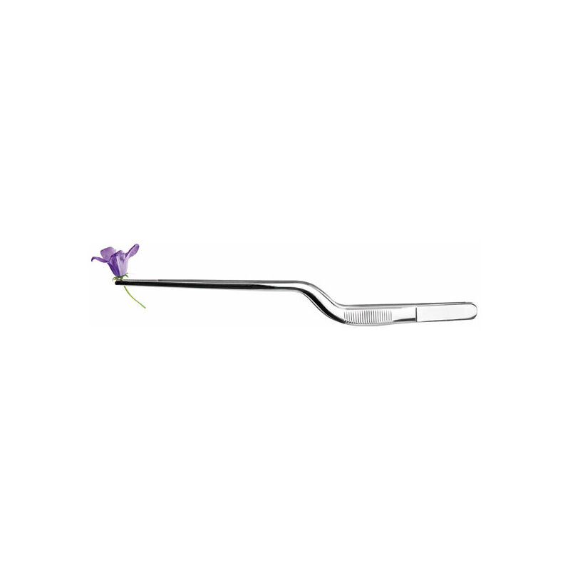 

Pinza Precision Curva 21cm Inox - Ibili